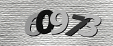 صورة التحقق
