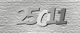 صورة التحقق